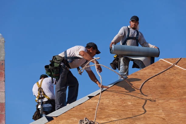 Best Residential Roofing Contractor  in Dawsonville, GA